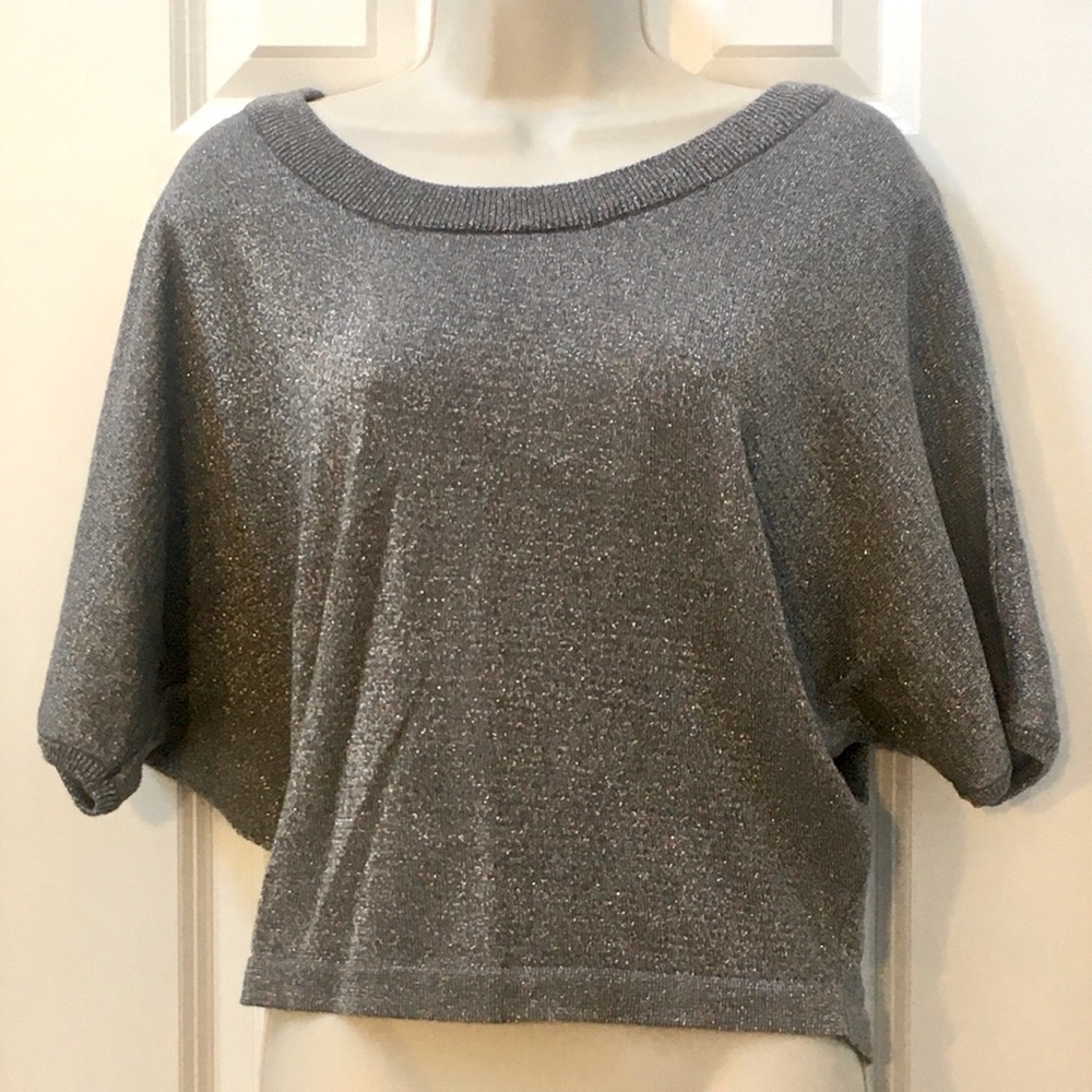 Rue21 Gray Silver L Thin Knit Batwing Sweater Top